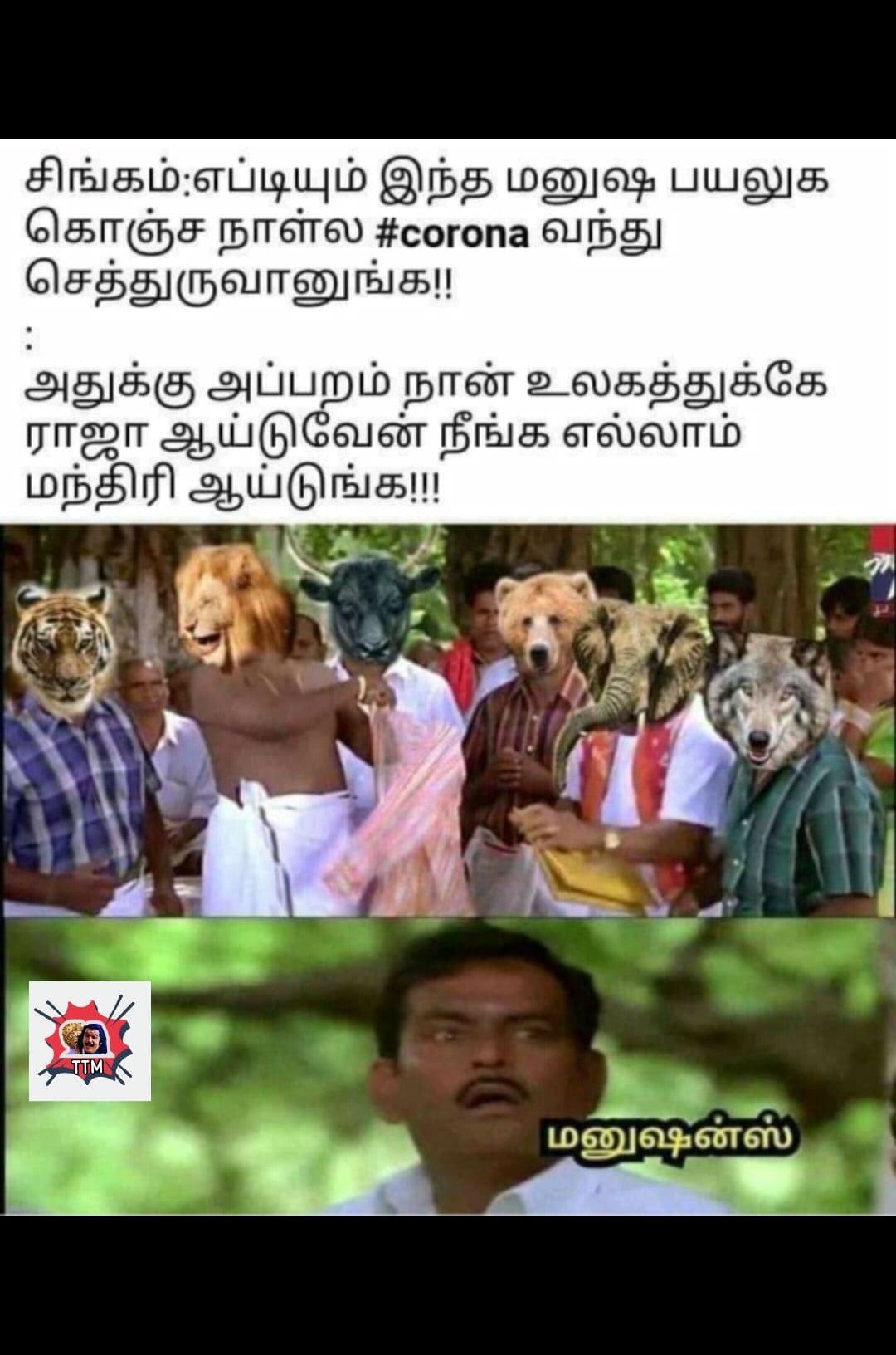 memes