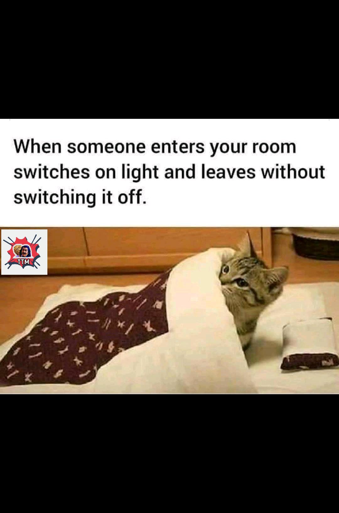 memes