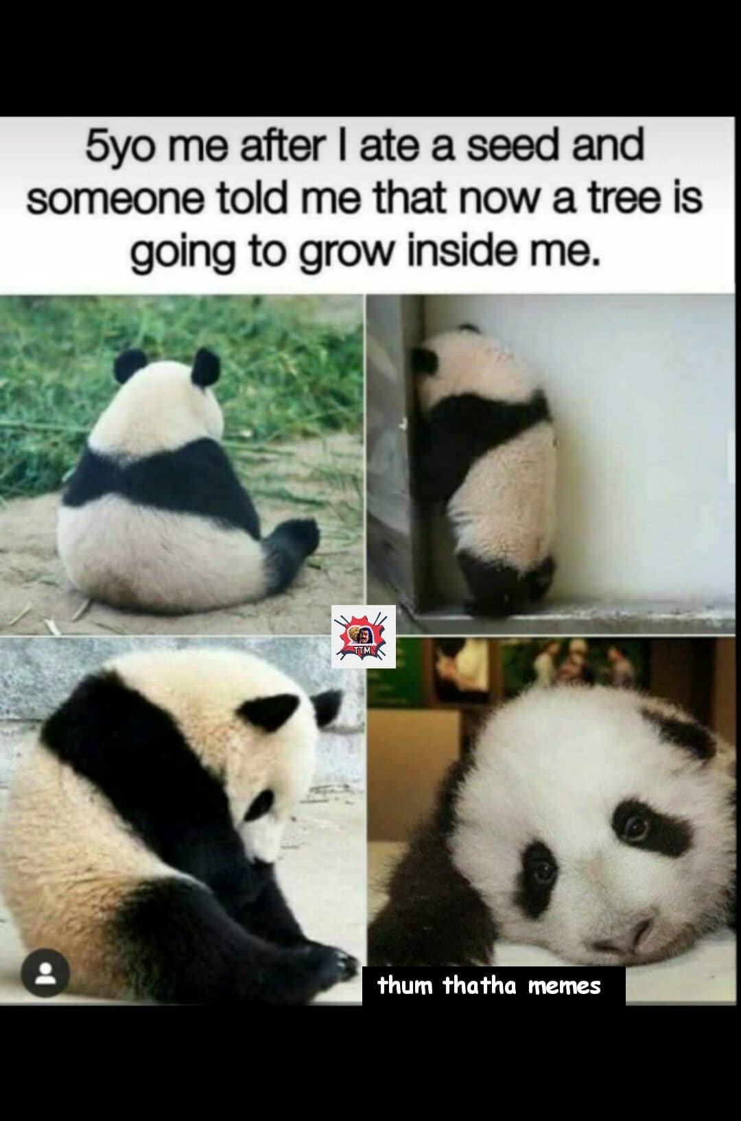 memes
