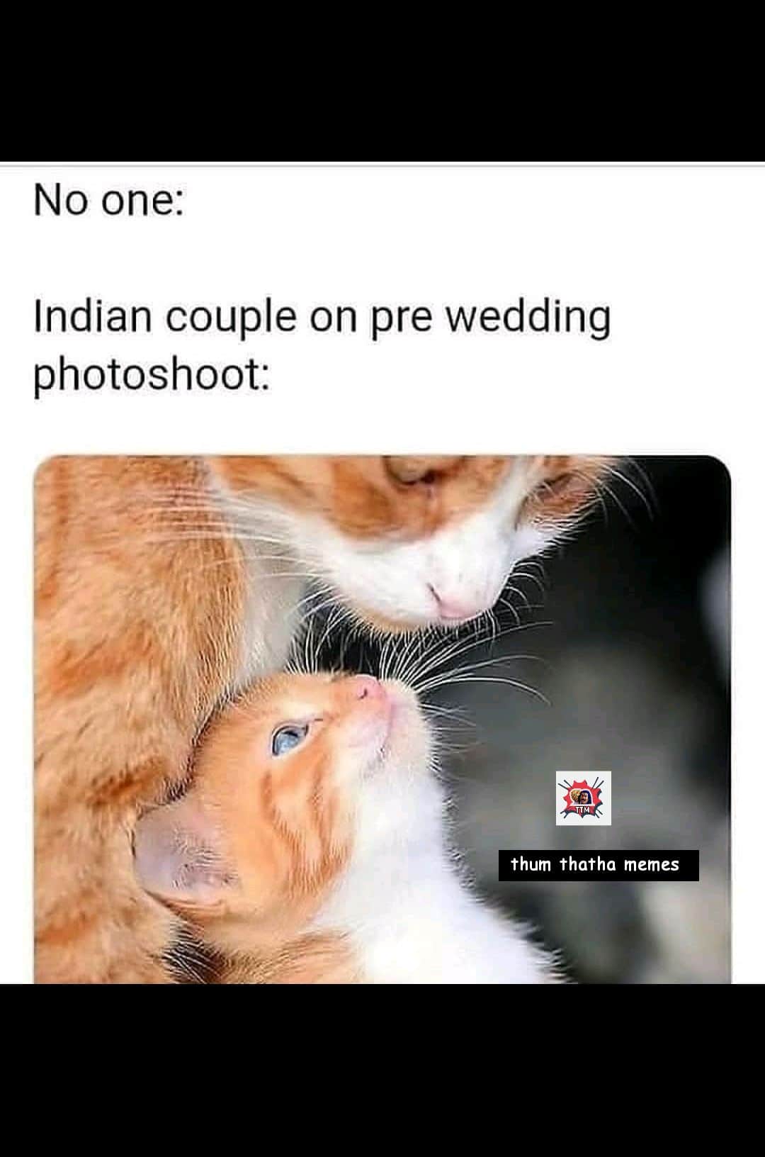 memes